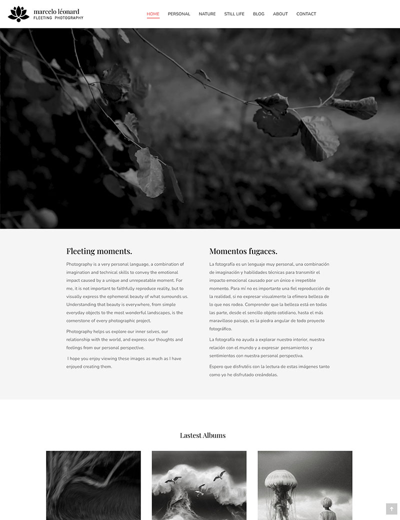 web de artista marcelo leonard 3